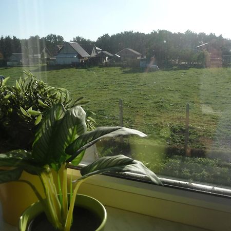 De Alpacaboerderij Lejlighed Bocholt Værelse billede