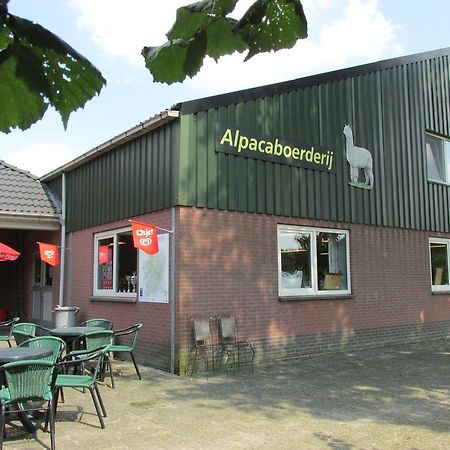 De Alpacaboerderij Lejlighed Bocholt Eksteriør billede