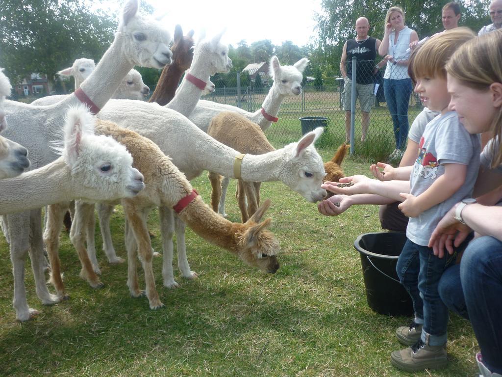 De Alpacaboerderij Lejlighed Bocholt Eksteriør billede