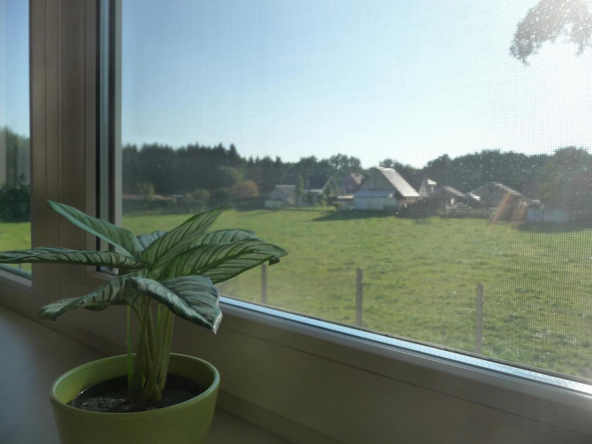 De Alpacaboerderij Lejlighed Bocholt Værelse billede