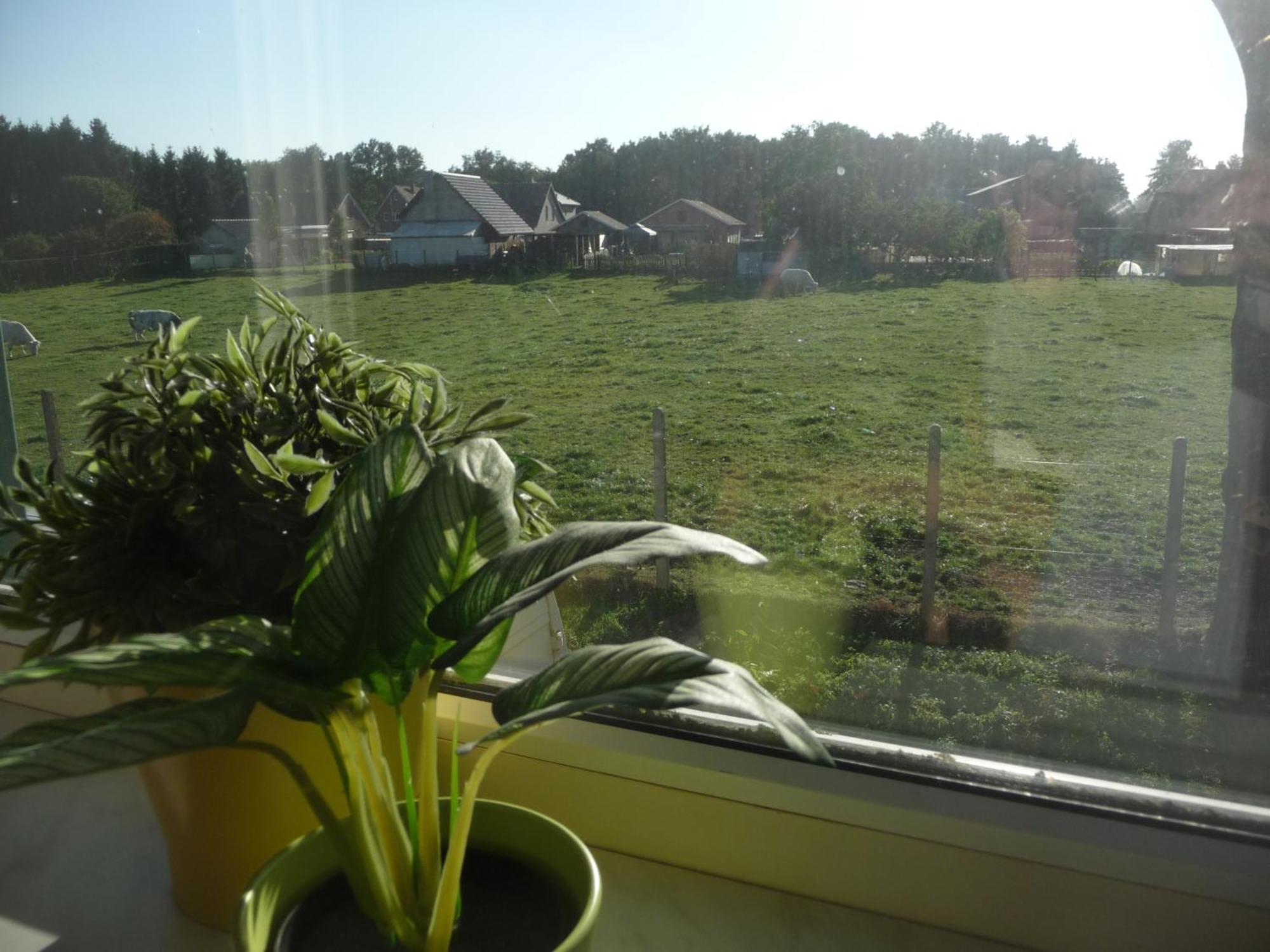 De Alpacaboerderij Lejlighed Bocholt Værelse billede