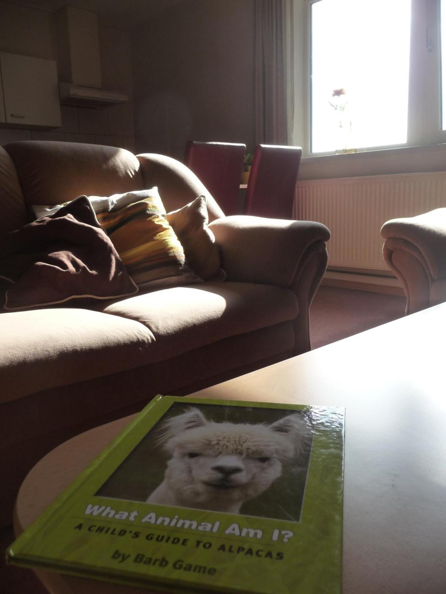 De Alpacaboerderij Lejlighed Bocholt Værelse billede