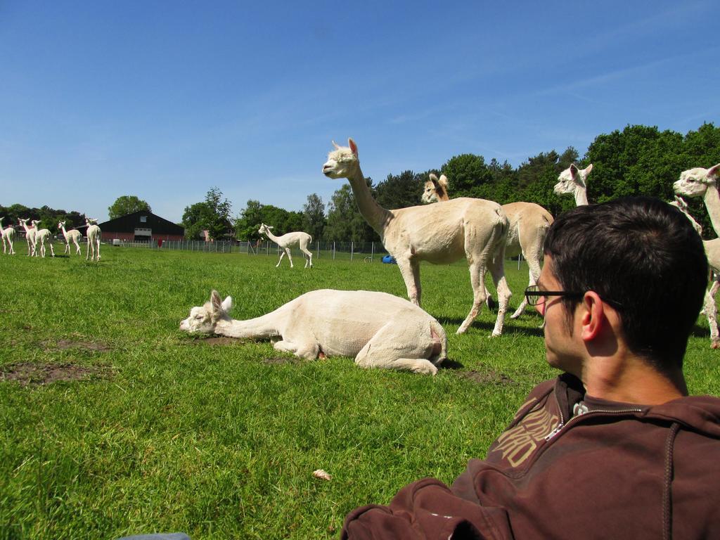 De Alpacaboerderij Lejlighed Bocholt Eksteriør billede